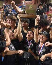 article image - 2. Trophy_9625